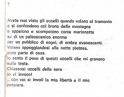 poesia # 7 - Avete mai visto gli uccelli quando volano al tramonto