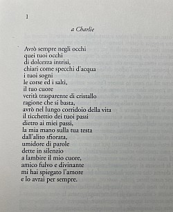 A Charlie