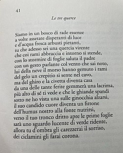 Le tre querce
