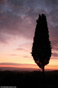 Solo sulla collina.