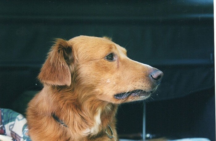Charlie. Una persona.